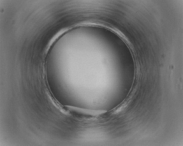 X0000076060862200610152201