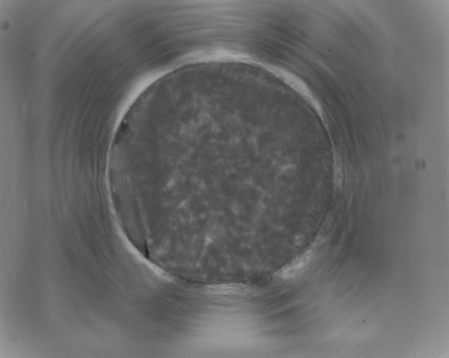 X0000076060863200610152201