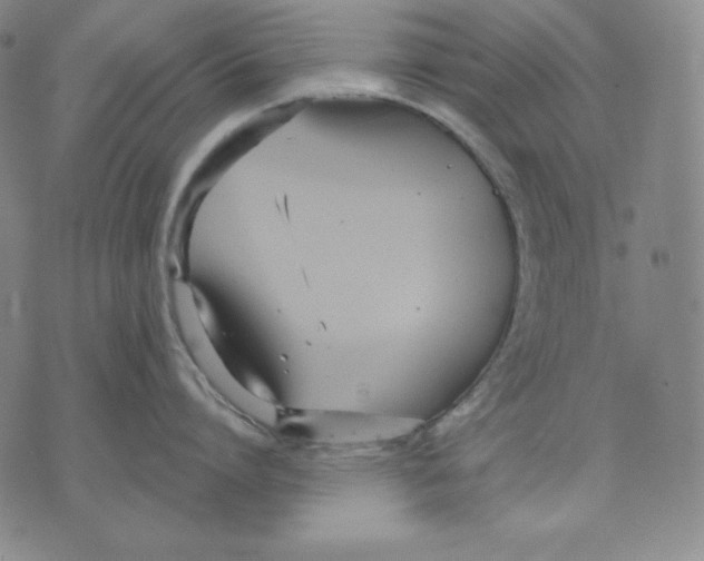 X0000076060864200610152201