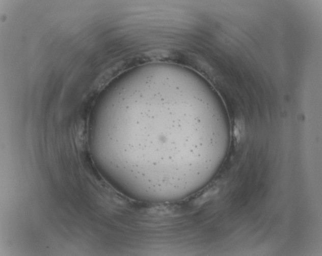 X0000076060867200610152200