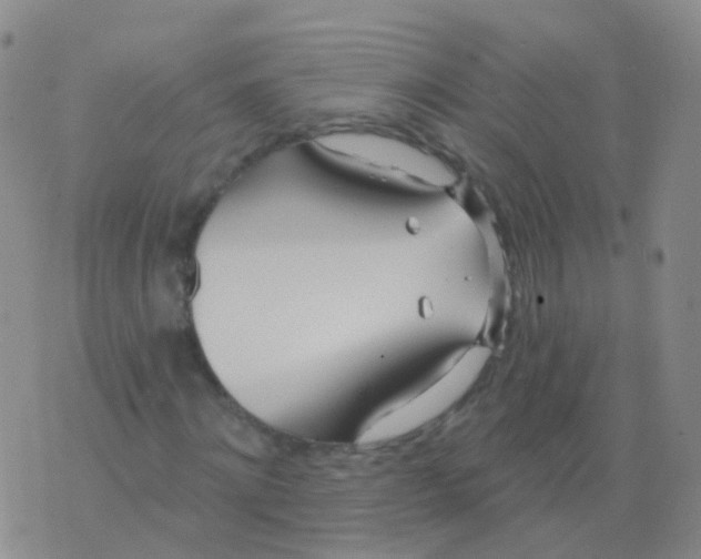 X0000076060868200610152200