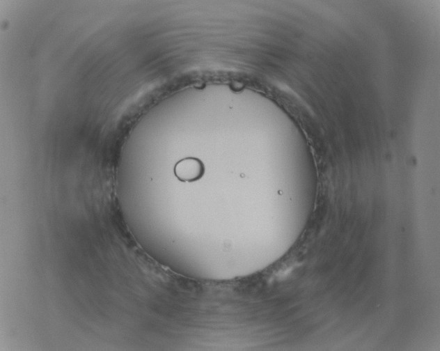 X0000076060870200610152200