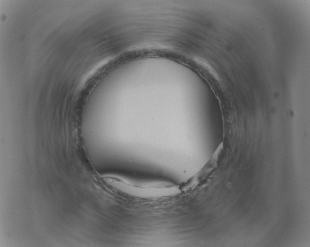 X0000076060872200610152200