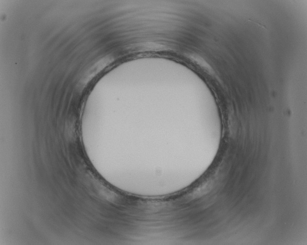 X0000076060873200610152200