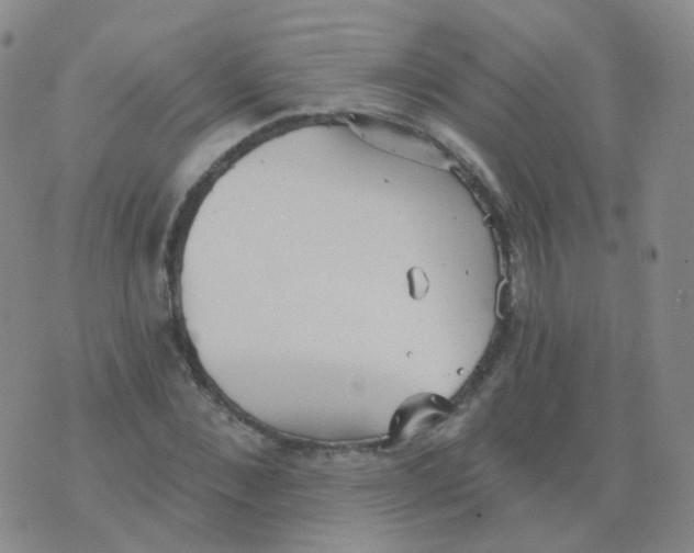 X0000076060876200610152200