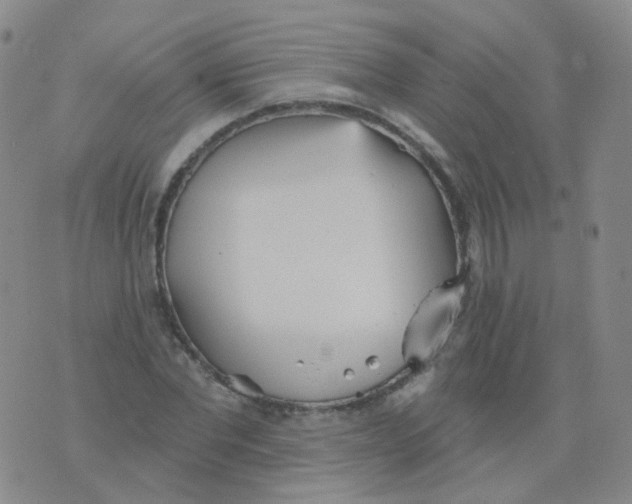 X0000076060877200610152200