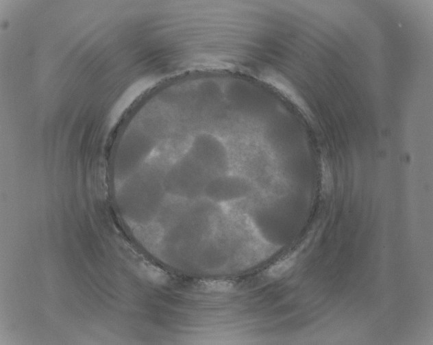 X0000076060878200610152200