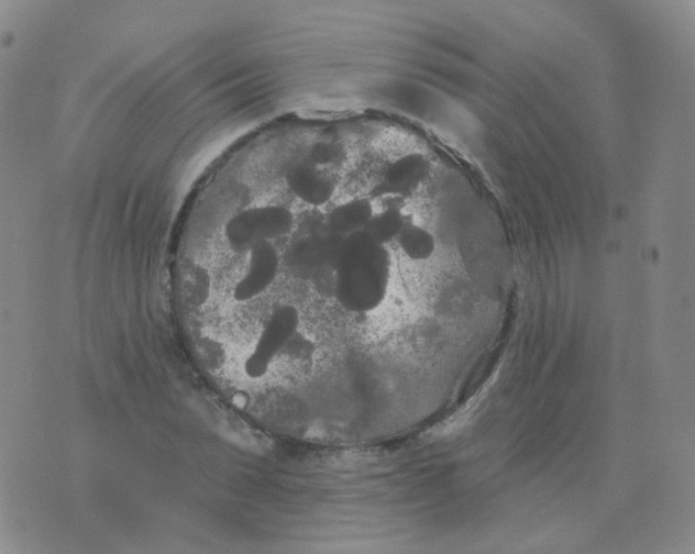 X0000076060879200610152200