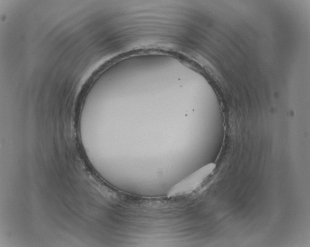 X0000076060880200610152200