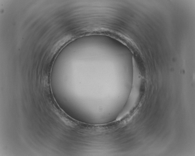 X0000076060881200610152200