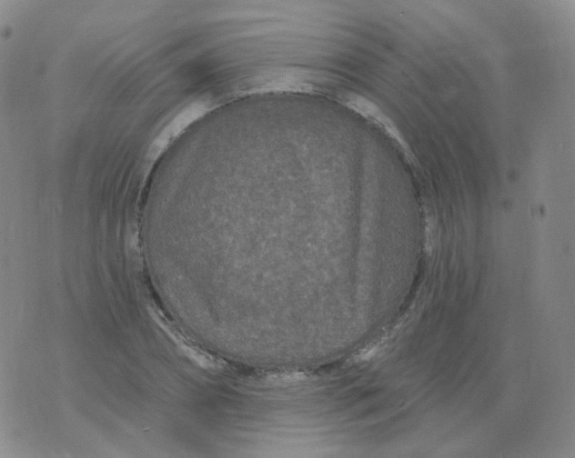 X0000076060882200610152200