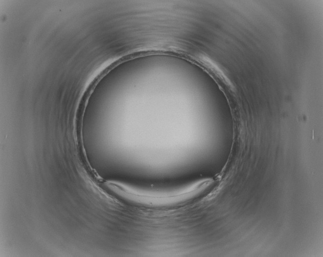 X0000076060884200610152200