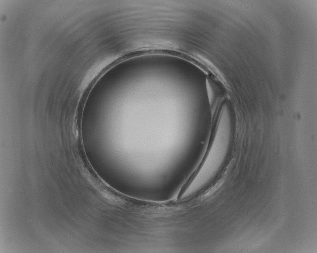 X0000076060885200610152200