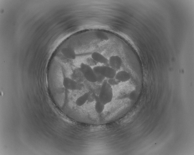 X0000076060887200610152200