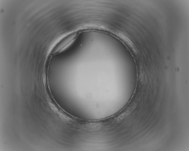 X0000076060888200610152200