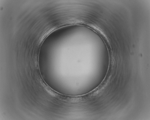 X0000076060889200610152159