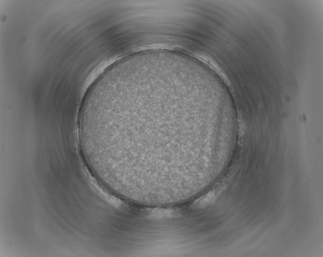 X0000076060890200610152159