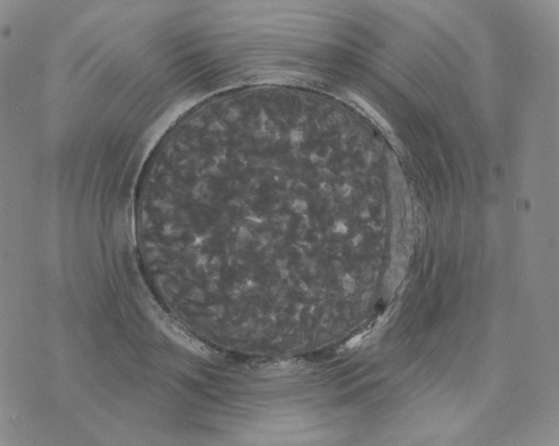 X0000076060891200610152159