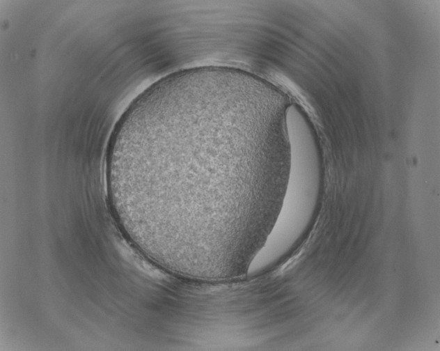 X0000076060892200610152159