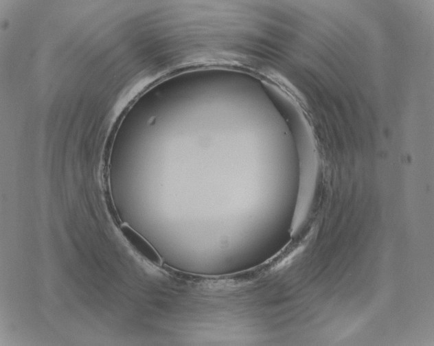 X0000076060893200610152159