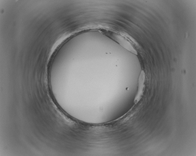 X0000076060894200610152159