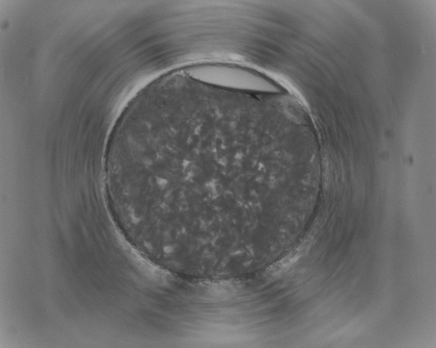 X0000076060895200610152159