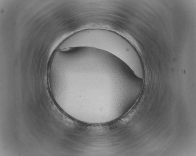 X0000076060896200610152159