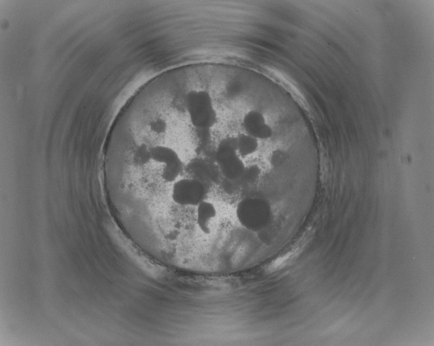 X0000076060899200610152159