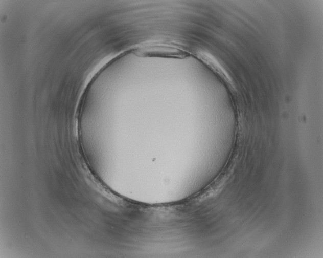 X0000076060900200610152159