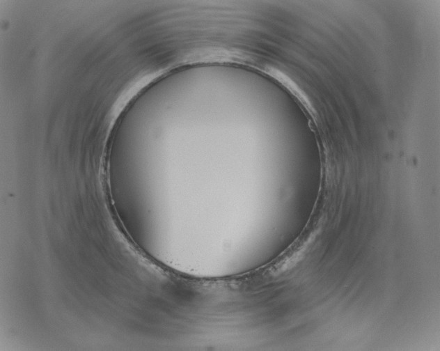 X0000076060901200610152159