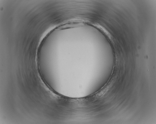 X0000076060902200610152159