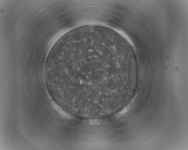 X0000076060903200610152159