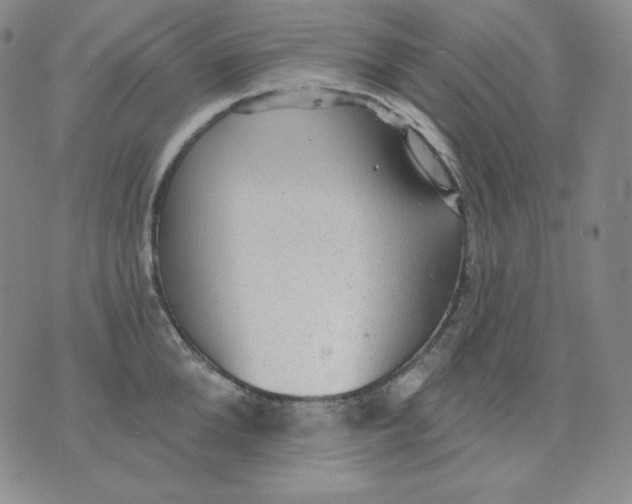 X0000076060904200610152159