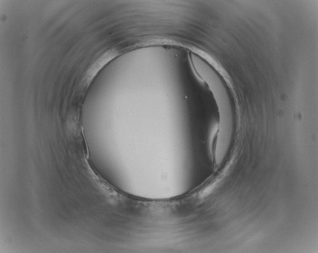 X0000076060905200610152159