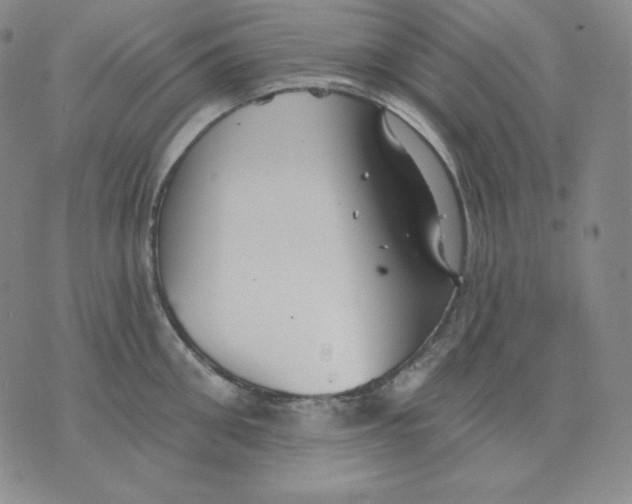 X0000076060906200610152159