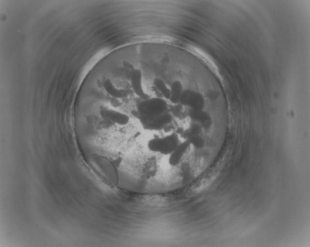 X0000076060907200610152159