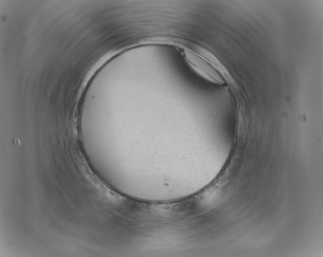 X0000076060908200610152159