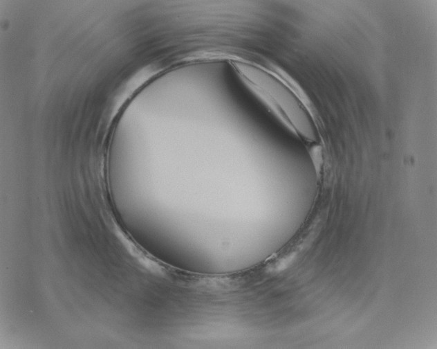 X0000076060909200610152159