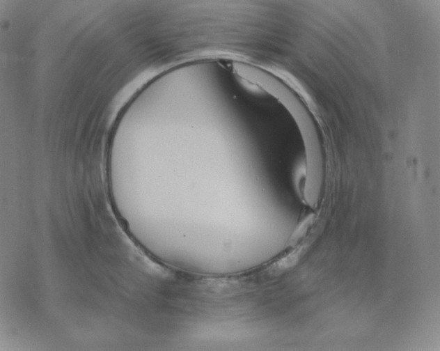 X0000076060910200610152159