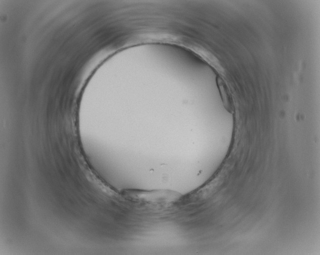 X0000076060912200610152159