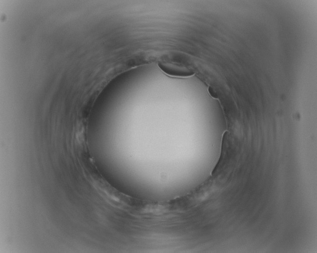 X0000076060914200610152158