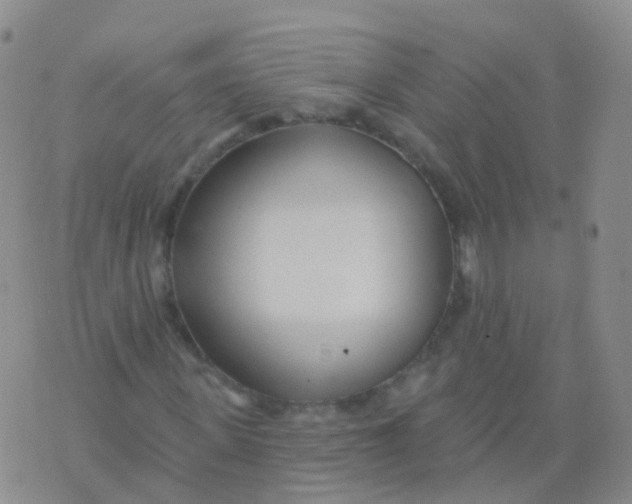 X0000076060915200610152158