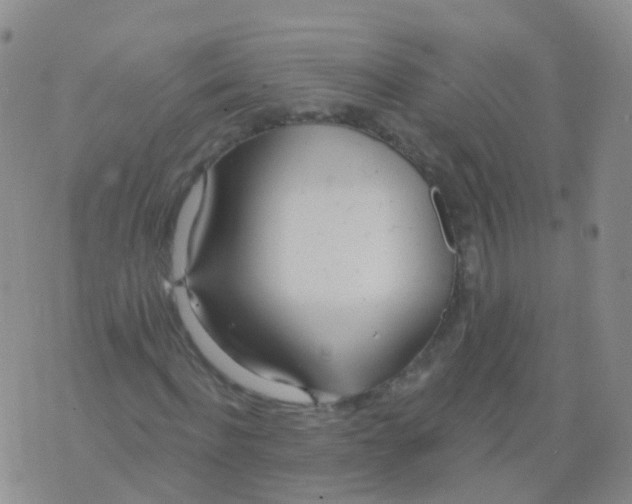 X0000076060916200610152158