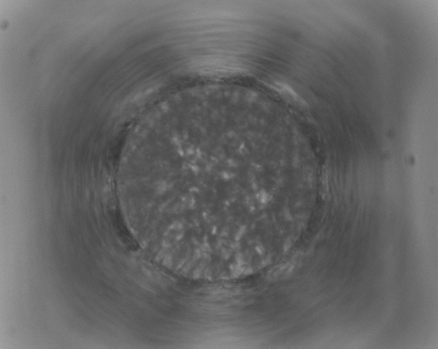 X0000076060917200610152158