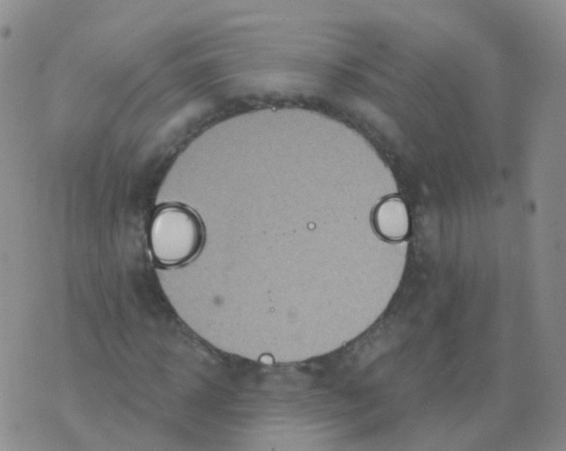 X0000076060918200610152158