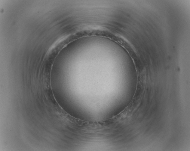 X0000076060919200610152158