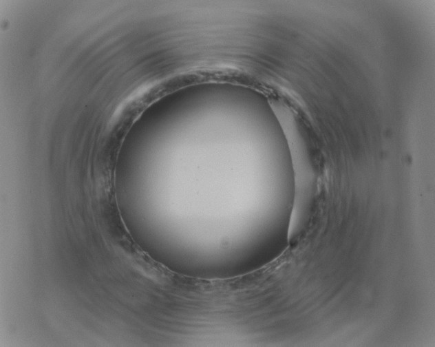 X0000076060920200610152158