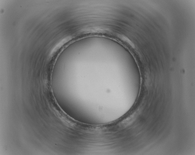 X0000076060922200610152158