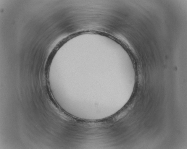 X0000076060924200610152159