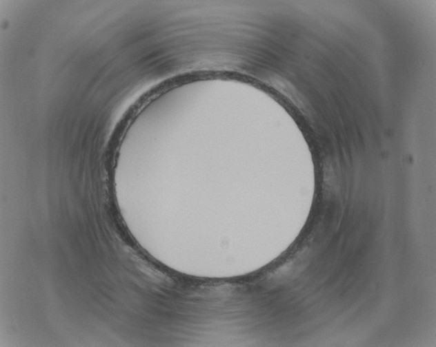 X0000076060926200610152159